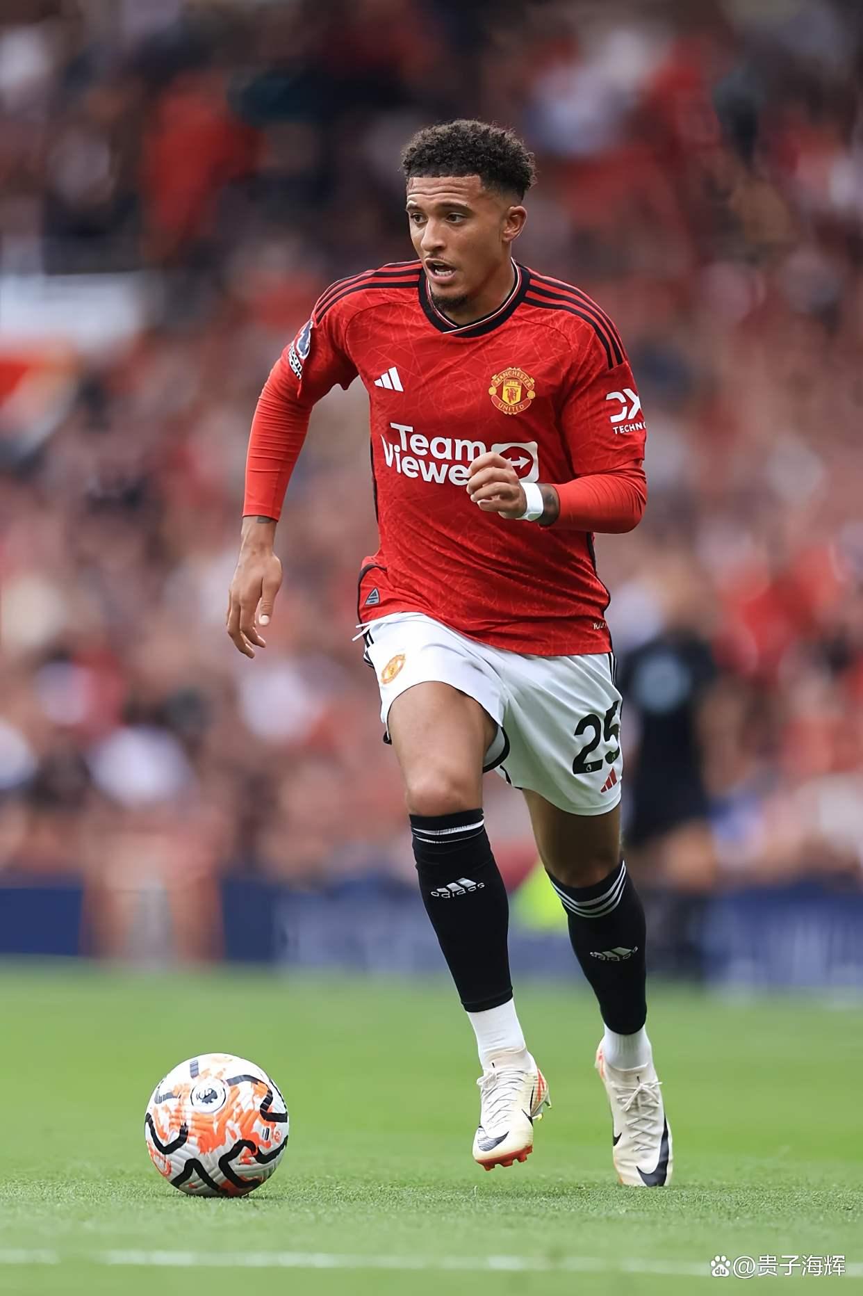 感情中权衡利弊是什么意思